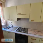 Rent 3 bedroom apartment of 75 m² in Bologna