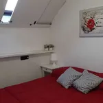 Rent 1 bedroom apartment of 60 m² in turin