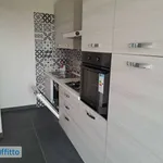 Rent 3 bedroom apartment of 80 m² in Turin