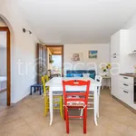 Rent 3 bedroom apartment of 80 m² in Olbia