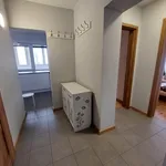 Rent 2 bedroom apartment of 43 m² in Łódź