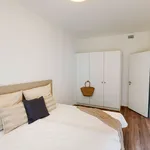 Rent 2 bedroom apartment of 50 m² in Berlin