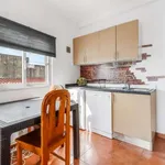 Rent 1 bedroom apartment in lisbon