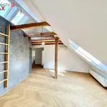 Rent 4 bedroom apartment of 75 m² in Praha