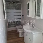 Rent 2 bedroom apartment of 70 m² in Bologna