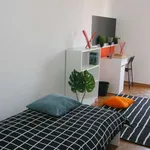 Rent a room in turin