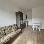 Rent 2 bedroom apartment of 45 m² in Chieri