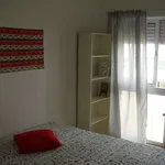 Rent a room of 80 m² in lisbon