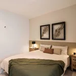 Rent 1 bedroom apartment in Madrid