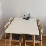 Rent 2 bedroom apartment of 50 m² in Berlin