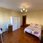 Rent a room in madrid