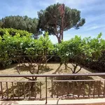 Appartement de 53 m² avec 2 chambre(s) en location à Ajaccio