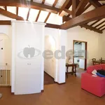 Rent 5 bedroom apartment of 130 m² in Modena