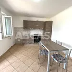 Rent 2 bedroom apartment of 55 m² in Velletri