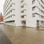 Rent 1 bedroom apartment of 22 m² in Cologne