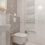 Rent 1 bedroom apartment of 42 m² in Zagreb