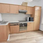 Rent 2 bedroom apartment of 47 m² in Chemnitz