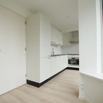 Rent 3 bedroom apartment of 59 m² in Rotterdam
