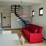 Rent 2 bedroom apartment of 70 m² in Varese