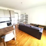 Rent 2 bedroom apartment of 62 m² in Venice