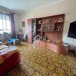 Rent 1 bedroom apartment of 16 m² in Turin