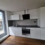 Pronajměte si 3 ložnic/e byt o rozloze 190 m² v Prague