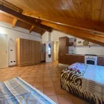 Rent 1 bedroom apartment of 40 m² in Alessandria