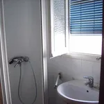 Rent a room in Alicante']