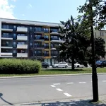 Rent 2 bedroom apartment of 43 m² in Nowy Sącz