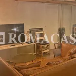 Rent 2 bedroom apartment of 50 m² in Rome