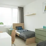 Pronajměte si 1 ložnic/e byt o rozloze 79 m² v Prague