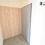 Rent 2 bedroom apartment of 57 m² in Fryšták