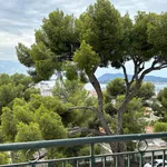 Rent 3 bedroom apartment of 64 m² in Toulon