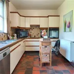 Rent 4 bedroom house of 1125 m² in SCHOTEN