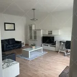 Rent 2 bedroom apartment of 85 m² in Budapest