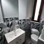 Rent 3 bedroom apartment of 75 m² in Torino