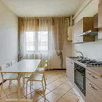 Rent 2 bedroom apartment of 57 m² in Santo Stefano Lodigiano