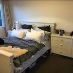 Rent 4 bedroom house in Auckland