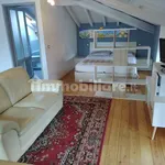 Rent 1 bedroom apartment of 49 m² in Surcà