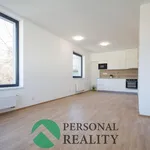 Rent 2 bedroom apartment of 49 m² in Praha