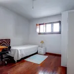 Rent 4 bedroom apartment in Coimbra