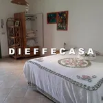 Rent 2 bedroom house of 60 m² in Marsala