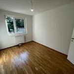 Rent 3 bedroom apartment of 71 m² in Vienna