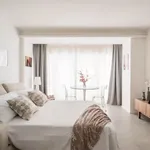 Rent 1 bedroom apartment in Bologna