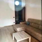 Rent 2 bedroom apartment of 80 m² in Monza