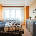 Rent 2 bedroom apartment of 53 m² in Ostrava