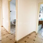 Rent 3 bedroom apartment of 100 m² in Frascati