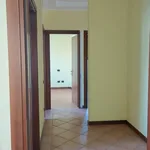 Rent 3 bedroom apartment of 100 m² in Piove di Sacco