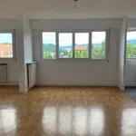 Rent 2 bedroom apartment of 61 m² in firminy