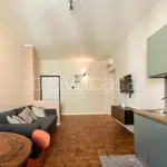 Rent 3 bedroom apartment of 83 m² in Torino